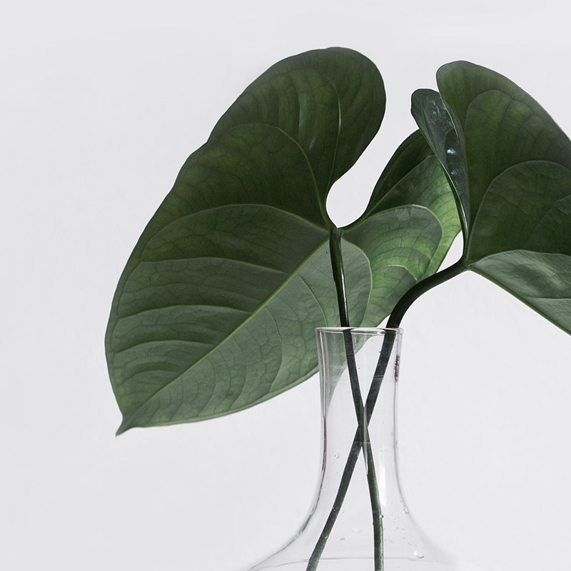 Product-10-gallery-img-3